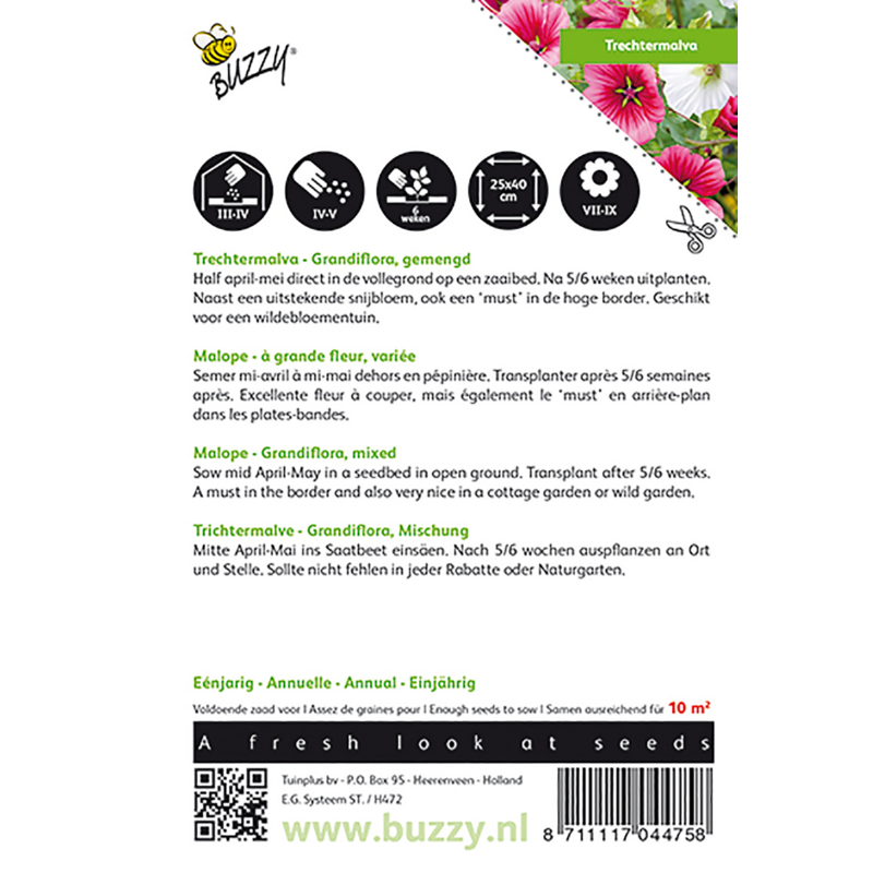 Buzzy® Malope, Trechtermalva Grandiflora gemengd